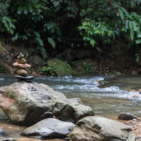 Rain Forest Guest House And Jungle Trekking บูกิตลาวัง ภายนอก รูปภาพ