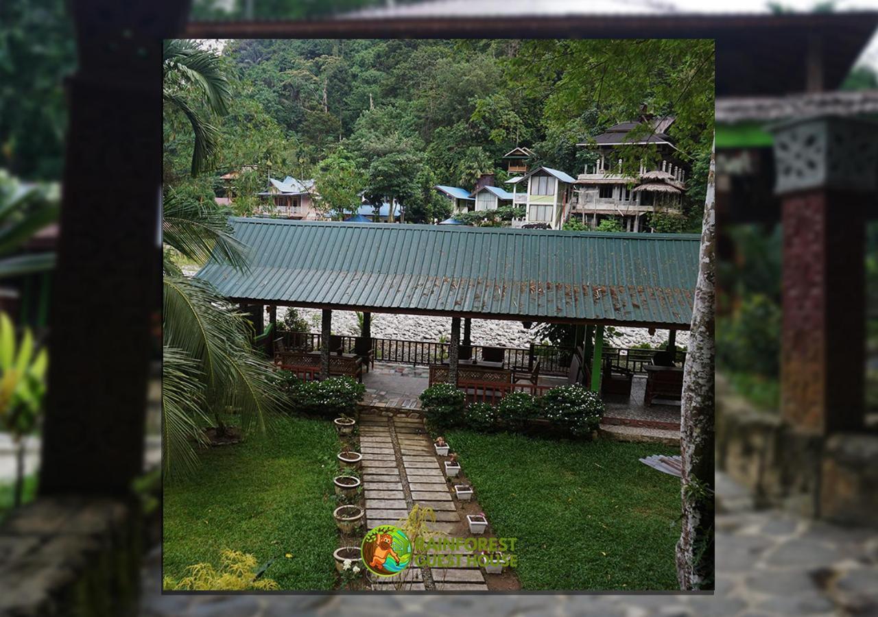 Rain Forest Guest House And Jungle Trekking บูกิตลาวัง ภายนอก รูปภาพ