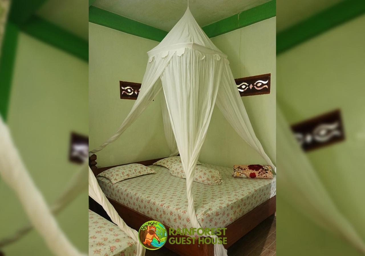 Rain Forest Guest House And Jungle Trekking บูกิตลาวัง ห้อง รูปภาพ