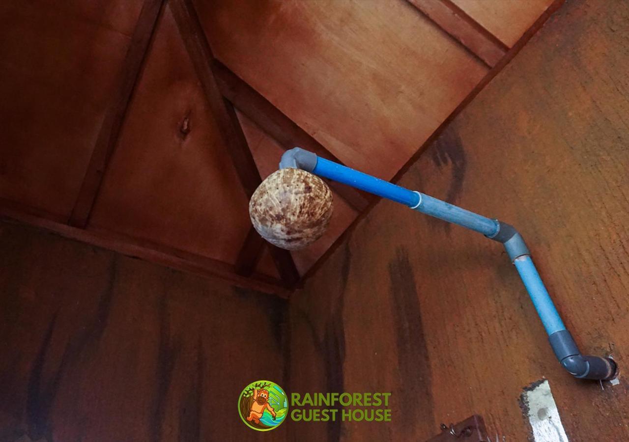 Rain Forest Guest House And Jungle Trekking บูกิตลาวัง ภายนอก รูปภาพ
