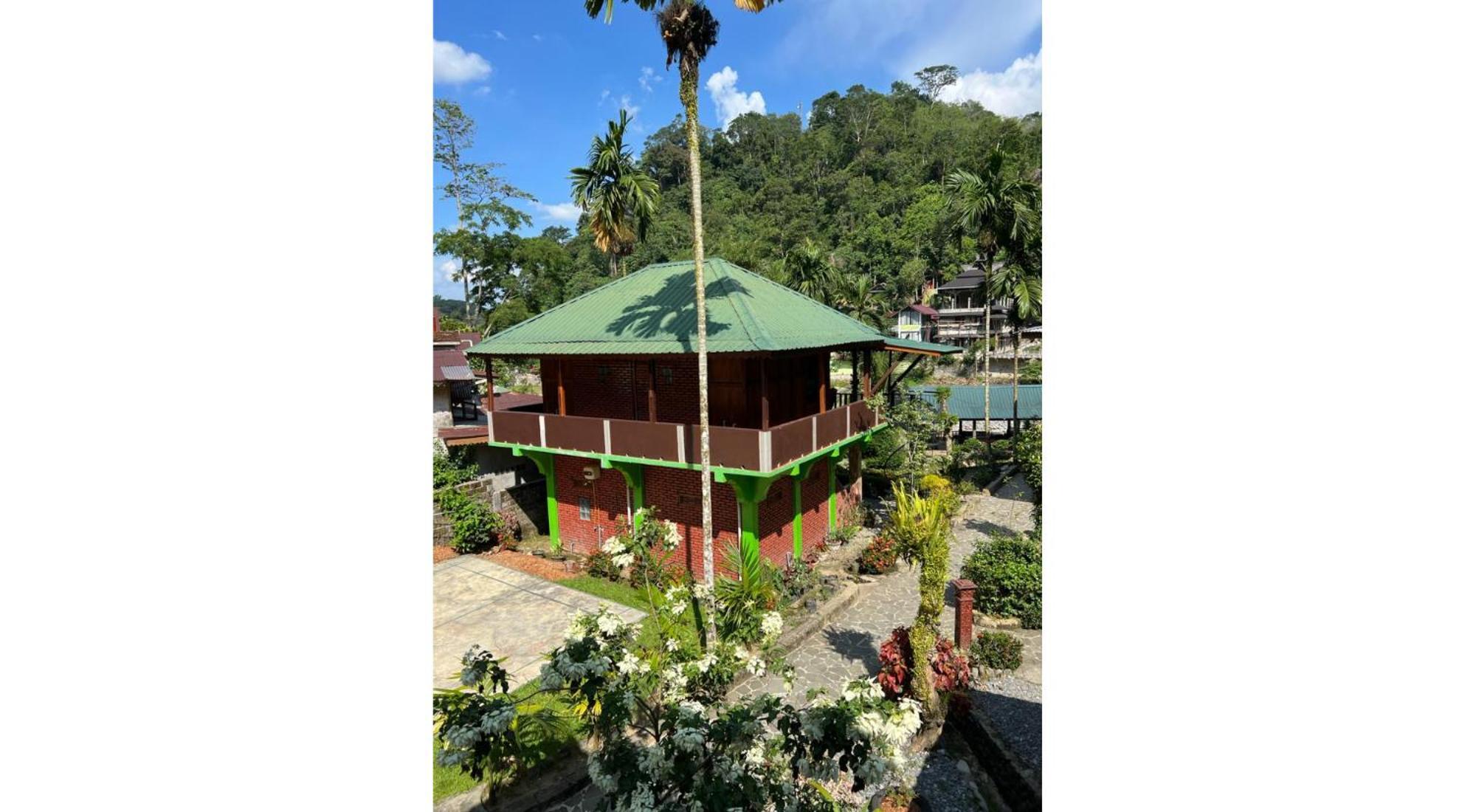Rain Forest Guest House And Jungle Trekking บูกิตลาวัง ภายนอก รูปภาพ