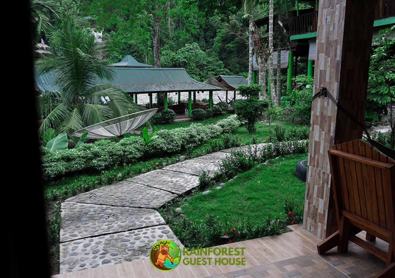 Rain Forest Guest House And Jungle Trekking บูกิตลาวัง ห้อง รูปภาพ