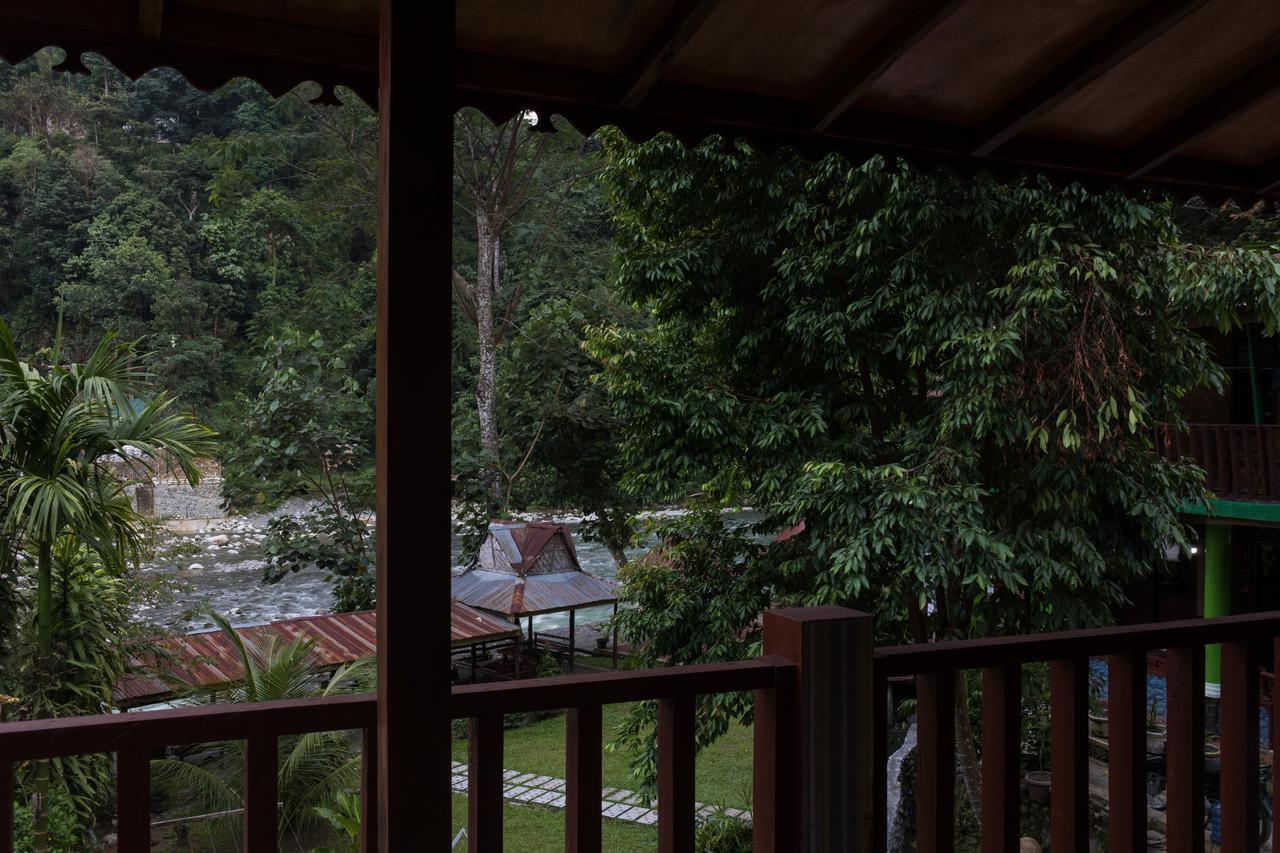 Rain Forest Guest House And Jungle Trekking บูกิตลาวัง ภายนอก รูปภาพ