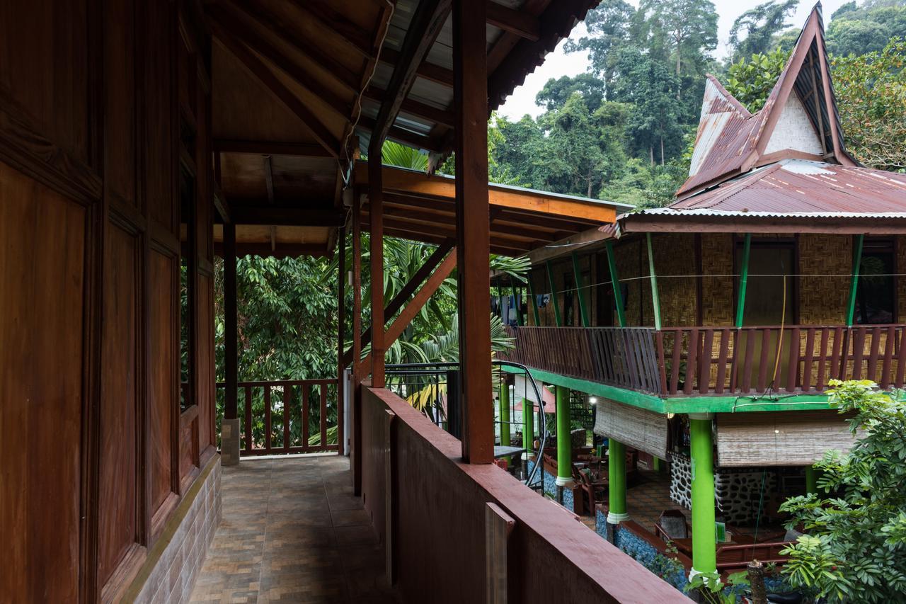 Rain Forest Guest House And Jungle Trekking บูกิตลาวัง ภายนอก รูปภาพ