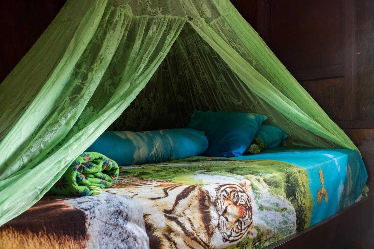 Rain Forest Guest House And Jungle Trekking บูกิตลาวัง ภายนอก รูปภาพ