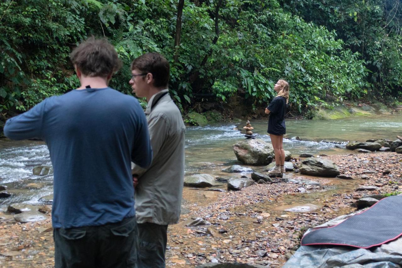 Rain Forest Guest House And Jungle Trekking บูกิตลาวัง ภายนอก รูปภาพ